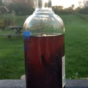 Making Pure Vanilla Extract Image